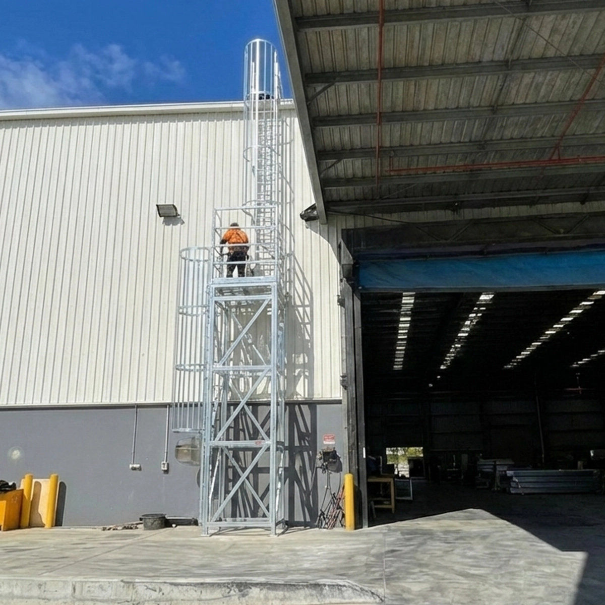 Ladder Cage System